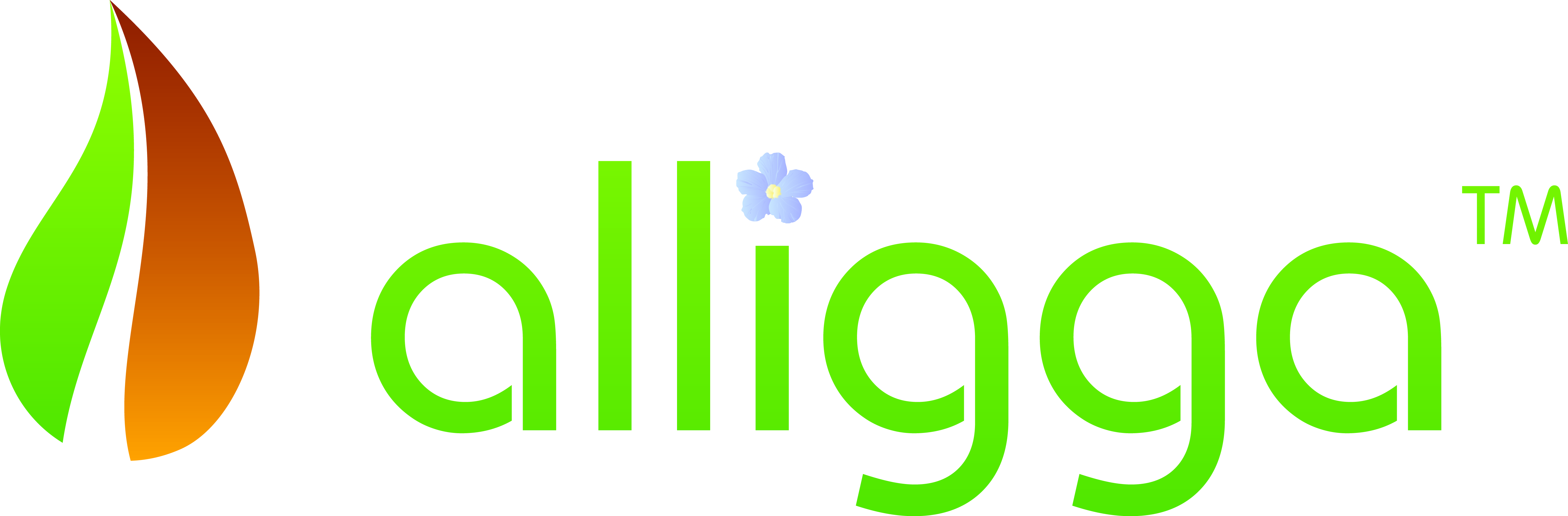 aligga logo